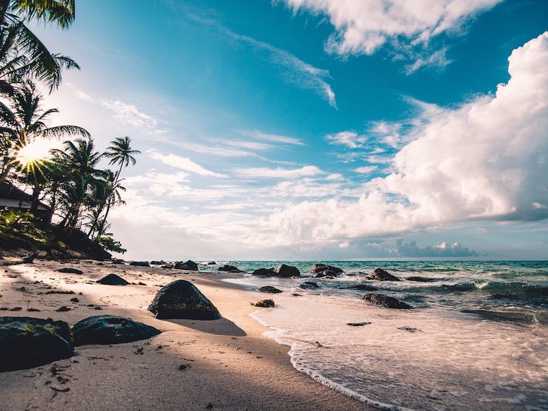 Tropical beach with palm trees