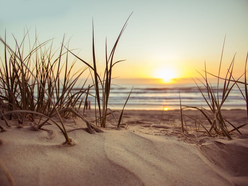 Sunset dunes